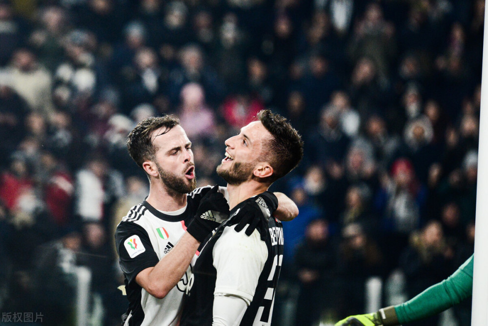 献了丰富的 献了丰富的