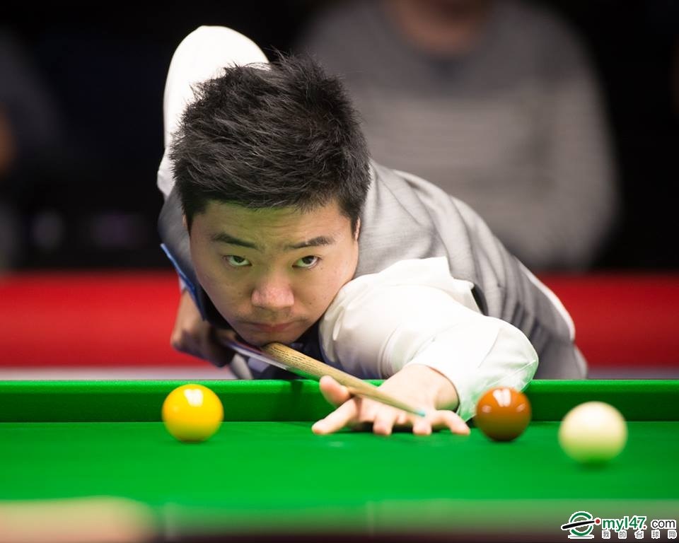 数据显示 数据显示